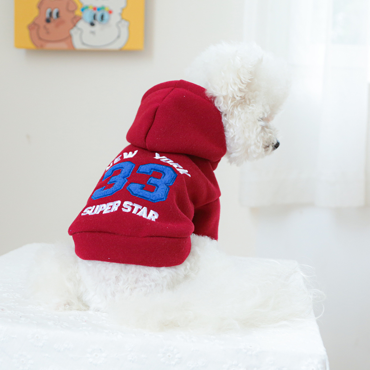 pet clothing pet puppy cat clo - مراجعة Winter Clothing New York وسعره