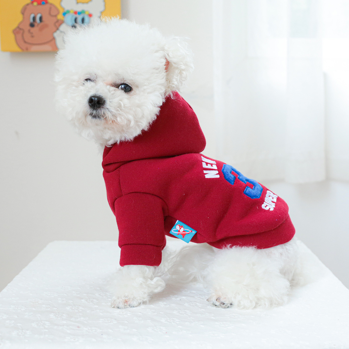 pet clothing pet puppy cat clo - مراجعة Winter Clothing New York وسعره