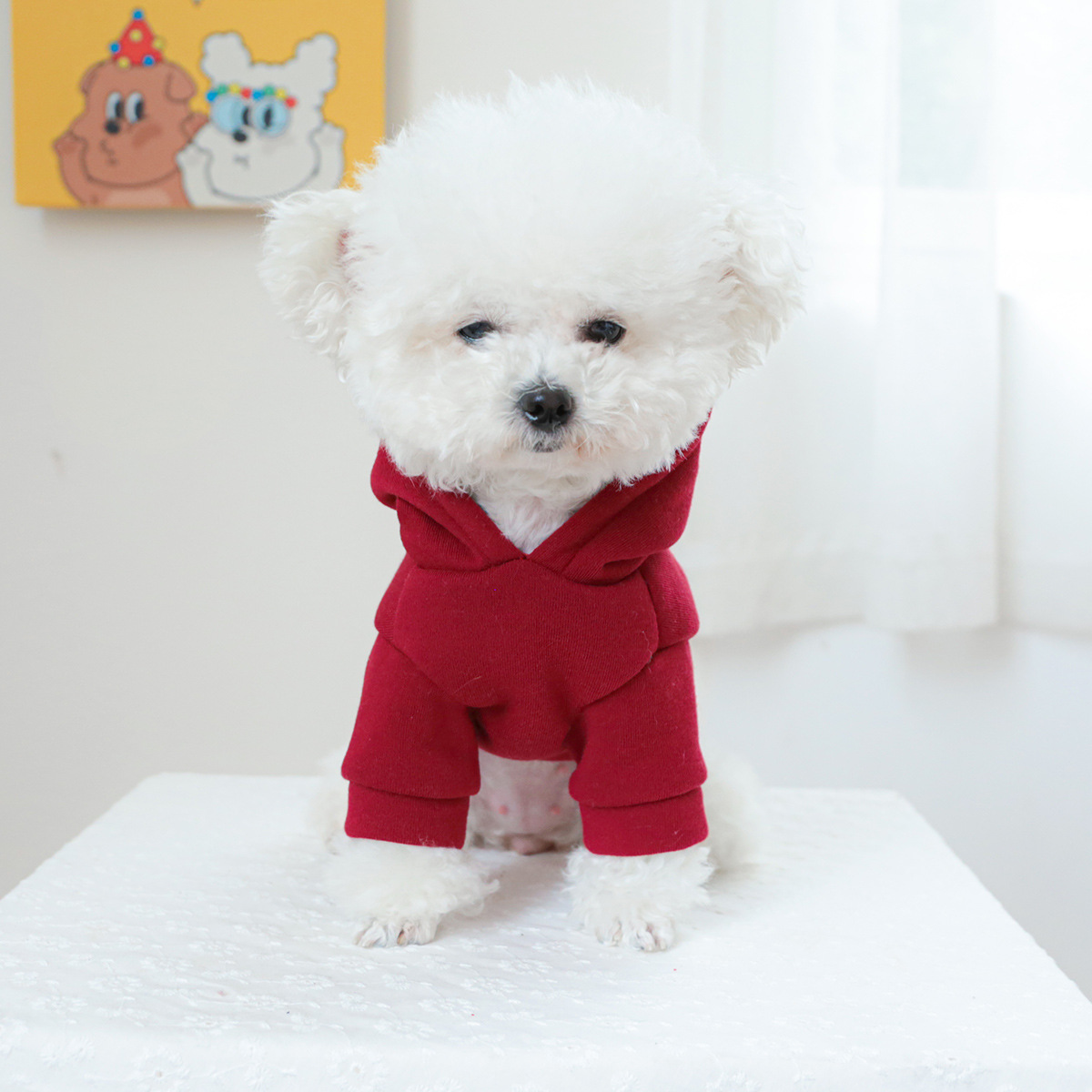 pet clothing pet puppy cat clo - مراجعة Winter Clothing New York وسعره